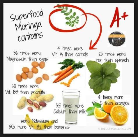 The Healing and Health Benefits of Malunggay .